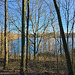 Köln Dünnwald - Höhenfelder See