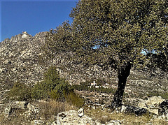 Oak, granite, Monastery and El Cancho Largo