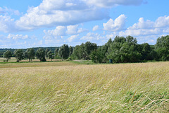 Landschaft bei Neubrandenburg