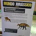 DSCN2756 - Maiasaura peeblesorum, Hadrosauridae Ornithopoda