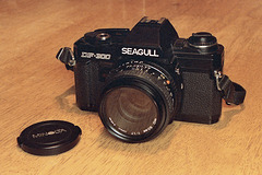 Seagull DF-300