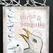 Terns & seagulls