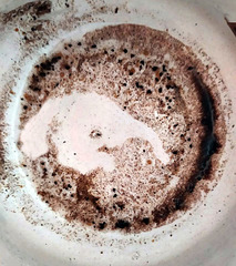 Elephant at the bottom of the coffee cup