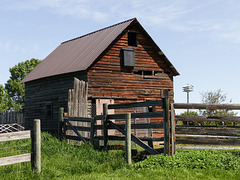 Old barn at the Ellis Bird Farm
