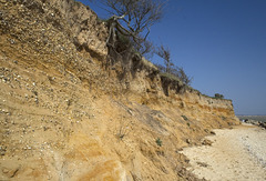 Pleistocene river gravels of the proto-Thames