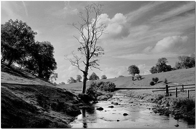 River Aire in Malhamdale