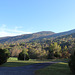 North Georgia mountains   Oct-2020