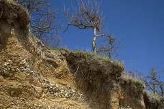 Cliff erosion 1