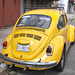 VW jaune / Yellow wonder