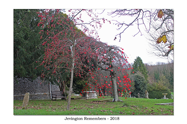 Jevington Remembers - the churchyard 26 11 2018
