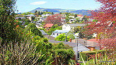 View of Dunedin