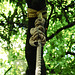 Tree Rope