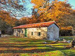 Cabaña de pastores en Urbasa. Navarra.