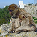 Gibraltar, mother and child