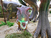 DSCN2772 - Tyrannosaurus rex, Theropoda