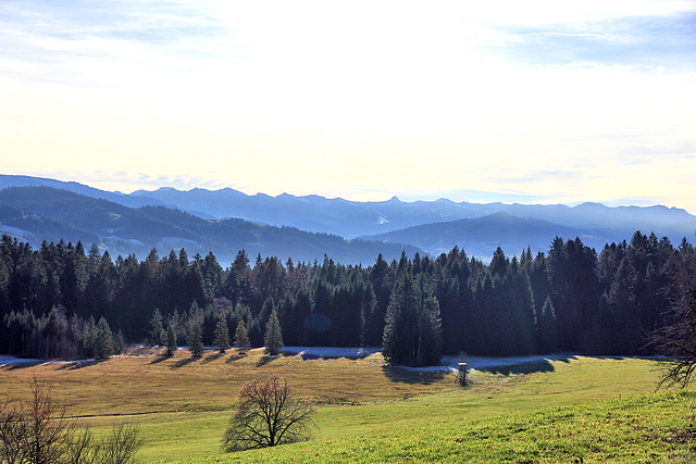 Scheidegg/Allgäu - Blick auf die Berge des Bregenzerwalds.