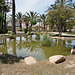Pond In El Palmeral