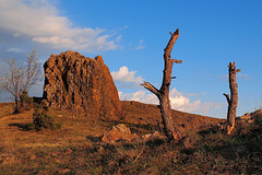 Paesaggio tipico delle Rocce Ofiolitiche sul Monte