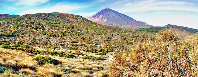 The Teide behind an inimitable nature... ©UdoSm