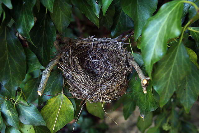 A louer nid douillet , idéal pour jeune couple qui débute dans la vie .
