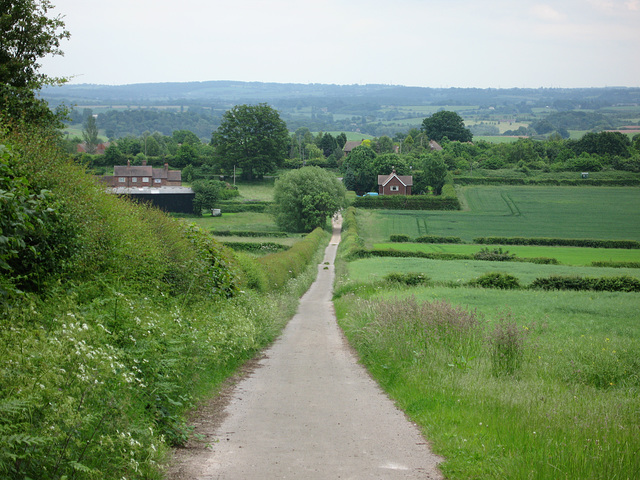 Path down to Hermitage Farm