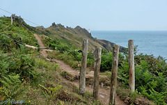 Start Point Lighthouse fence