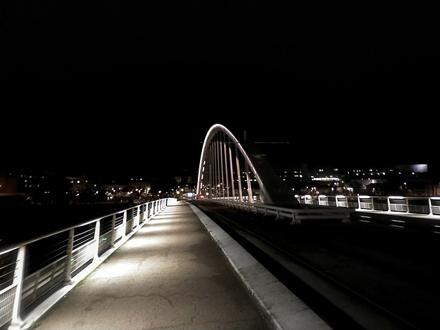 Pont Confluence 1, Angers