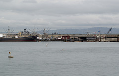 SF Maritime National Historical swimmers(1412)