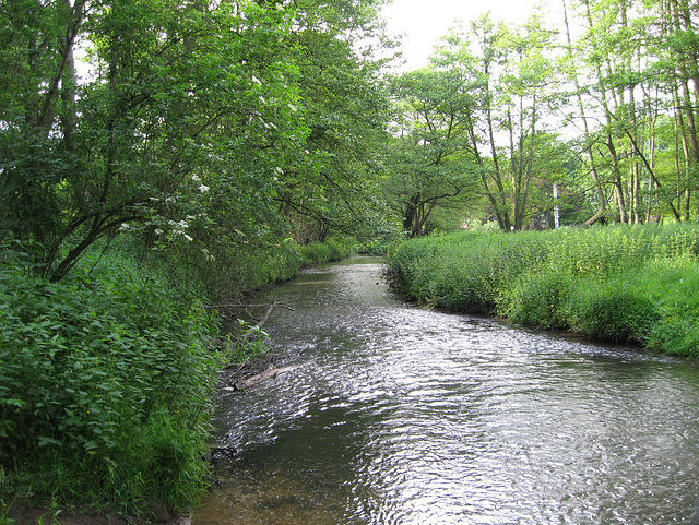 The River Worfe near The Knolls looking towards Rindleford