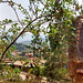 Vue de l'intérieur d'une ruine laotienne