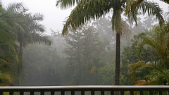Rain - Tail end of Cyclone Marcia