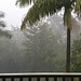 Rain - Tail end of Cyclone Marcia