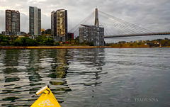 Sydney Kayaking #1