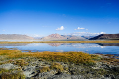 Salt Lake of Ladakh