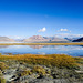 Salt Lake of Ladakh
