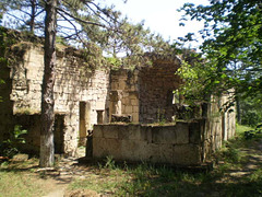 Ruins of 5th century basilica.
