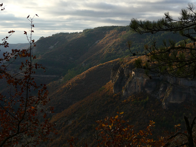 20211111 -21  Lozère (46)