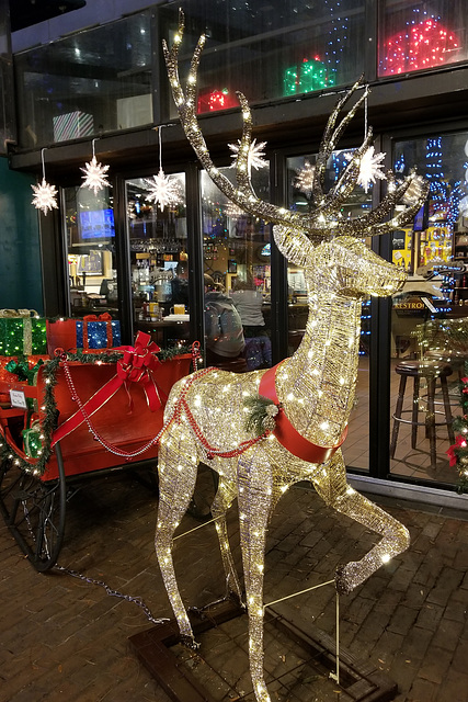 Lighting up the sleigh (Explored)