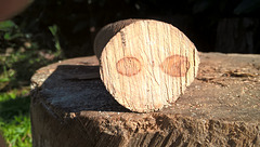 Firewood Face 20220715 10 06 50 Pro