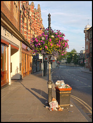 summer morning in George Street