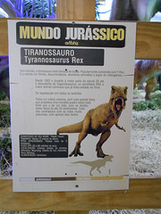 DSCN2790 - Tyrannosaurus rex, Theropoda