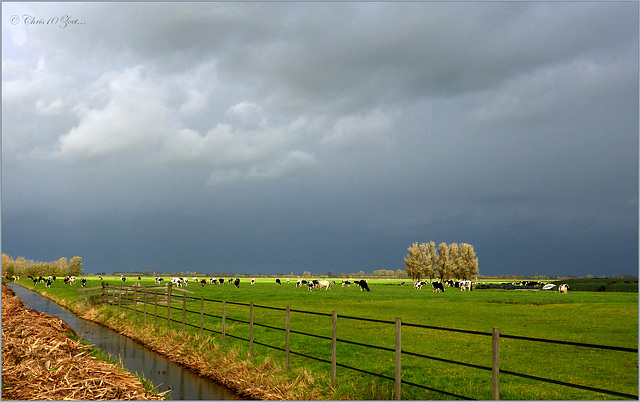 Typical Weather in the Netherlands for this time of the Year...