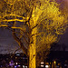 streetlit tree
