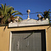 Lions on top of garage door.