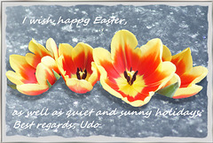 Frohe Ostern, Happy Easter,  Pasqua felice,  Joyeuses Pâques... ©UdoSm