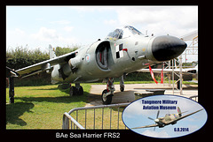 Sea Harrier FRS2 - Tangmere - 6 8 2014