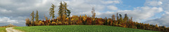 Herbst-Pano