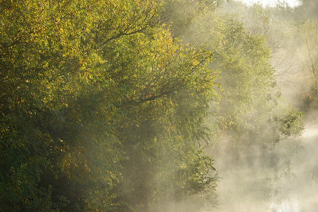 Peterborough Morning Mist...