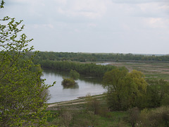 Речка Сейм / Seim River