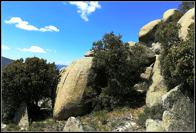 In amongst the granite boulders.